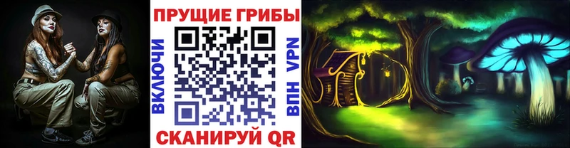 Псилоцибиновые грибы GOLDEN TEACHER  Купить закладки  Сосновка 
